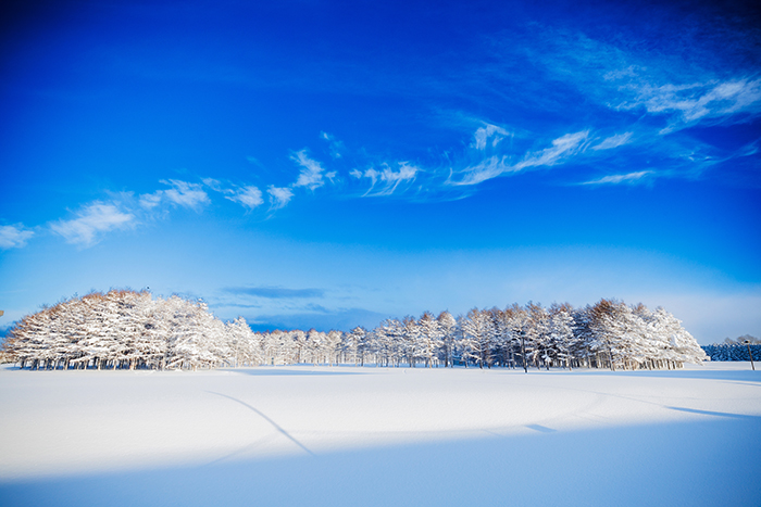 商品イメージ02