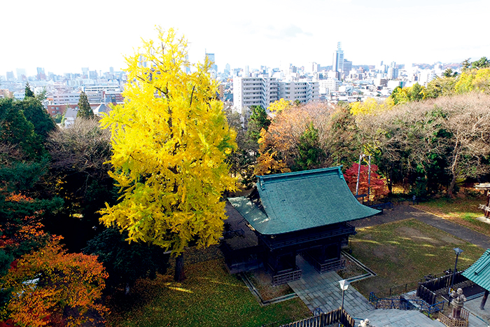 商品イメージ③