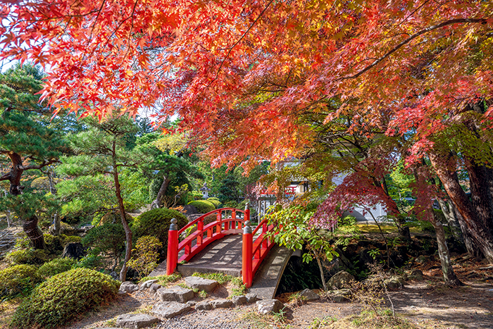 商品イメージ②